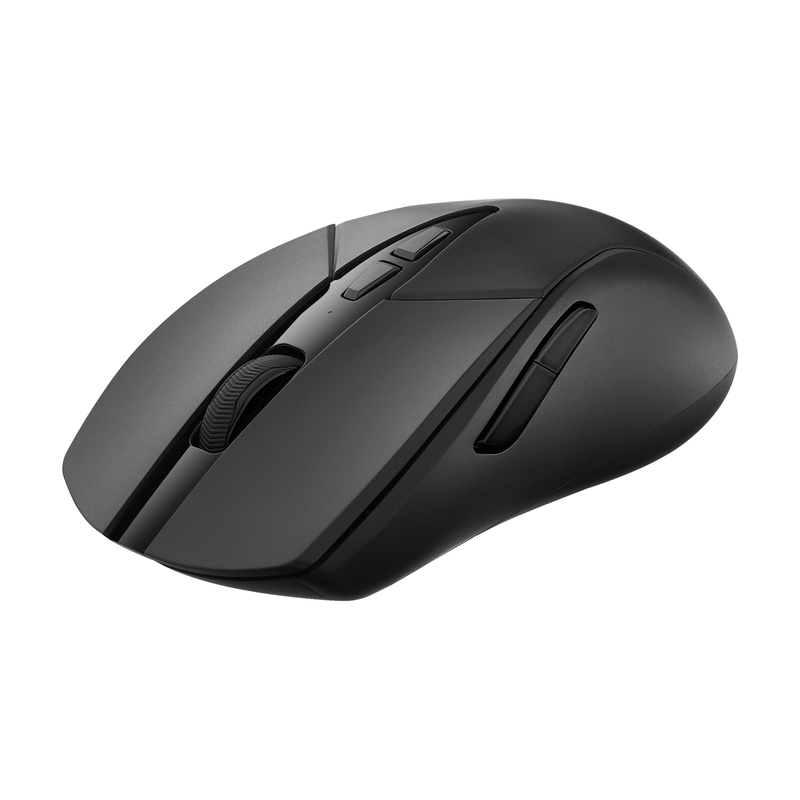 Rapoo V300SE Wired/Wireless Lightweight Gaming Mouse
