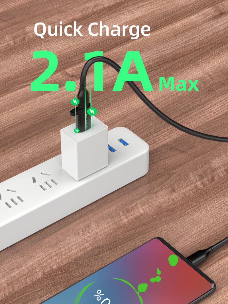 CABLETIME USB-A Male to USB-C Female OTG Adapter with Lanyard, 5Gbps