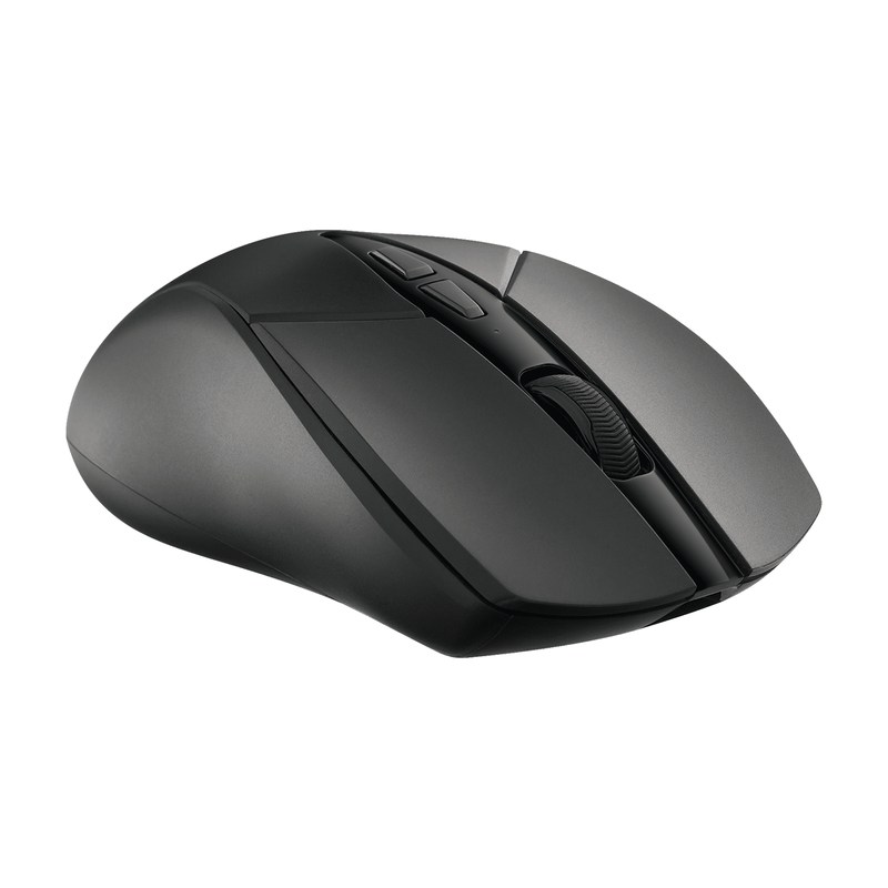 Rapoo V300SE Wired/Wireless Lightweight Gaming Mouse