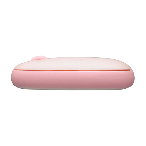 Rapoo M650 Silent Multi-mode Wireless Mouse