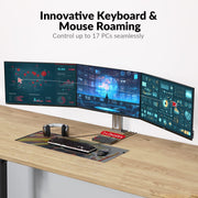 AV Access 4KIPJ200E