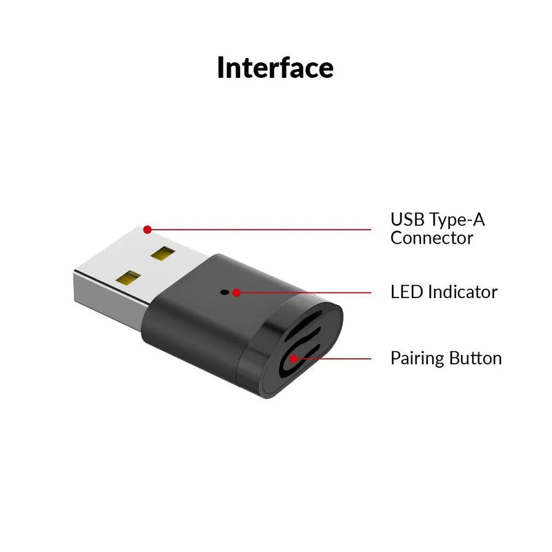 AV Access B20 USB Bluetooth Adapter for PC, TV, Speaker & Game Console – Bluetooth 5.2, Plug & Play