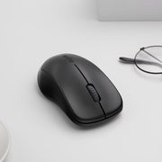 Rapoo 1620 Wireless Optical Mouse
