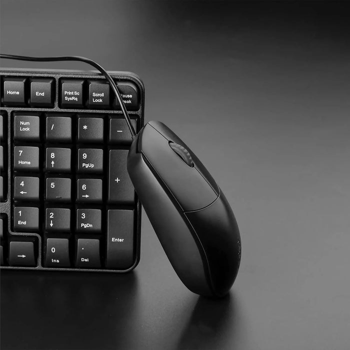 RAPOO 100 Wired USB Mouse, 1600 DPI Optical Sensor, Ergonomic Design, Plug & Play, Smooth Tracking, Ergonomic Grip, for PC, Mac, Laptop, Desktop – Black Rapoo