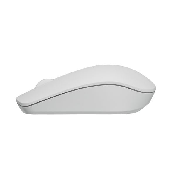 Rapoo M21 Silent Wireless Optical Mouse