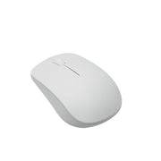 Rapoo M21 Silent Wireless Optical Mouse