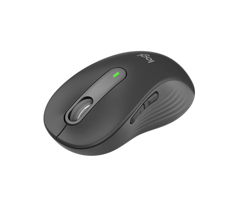 Logitech Signature M650 L Wireless Mouse (Large) – Graphite